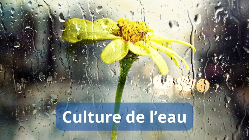 culture de l'eau